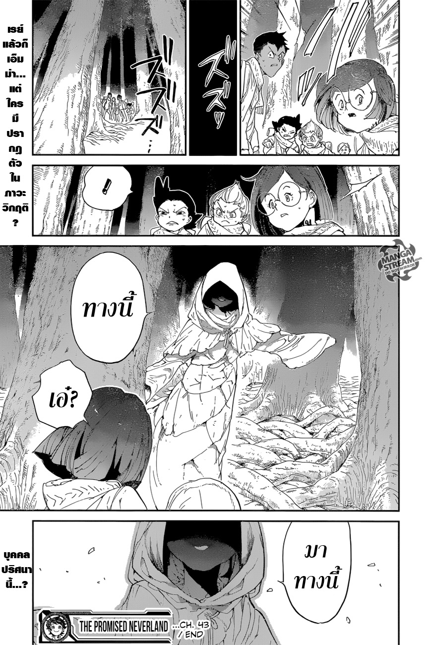 The Promised Neverland 43-81194