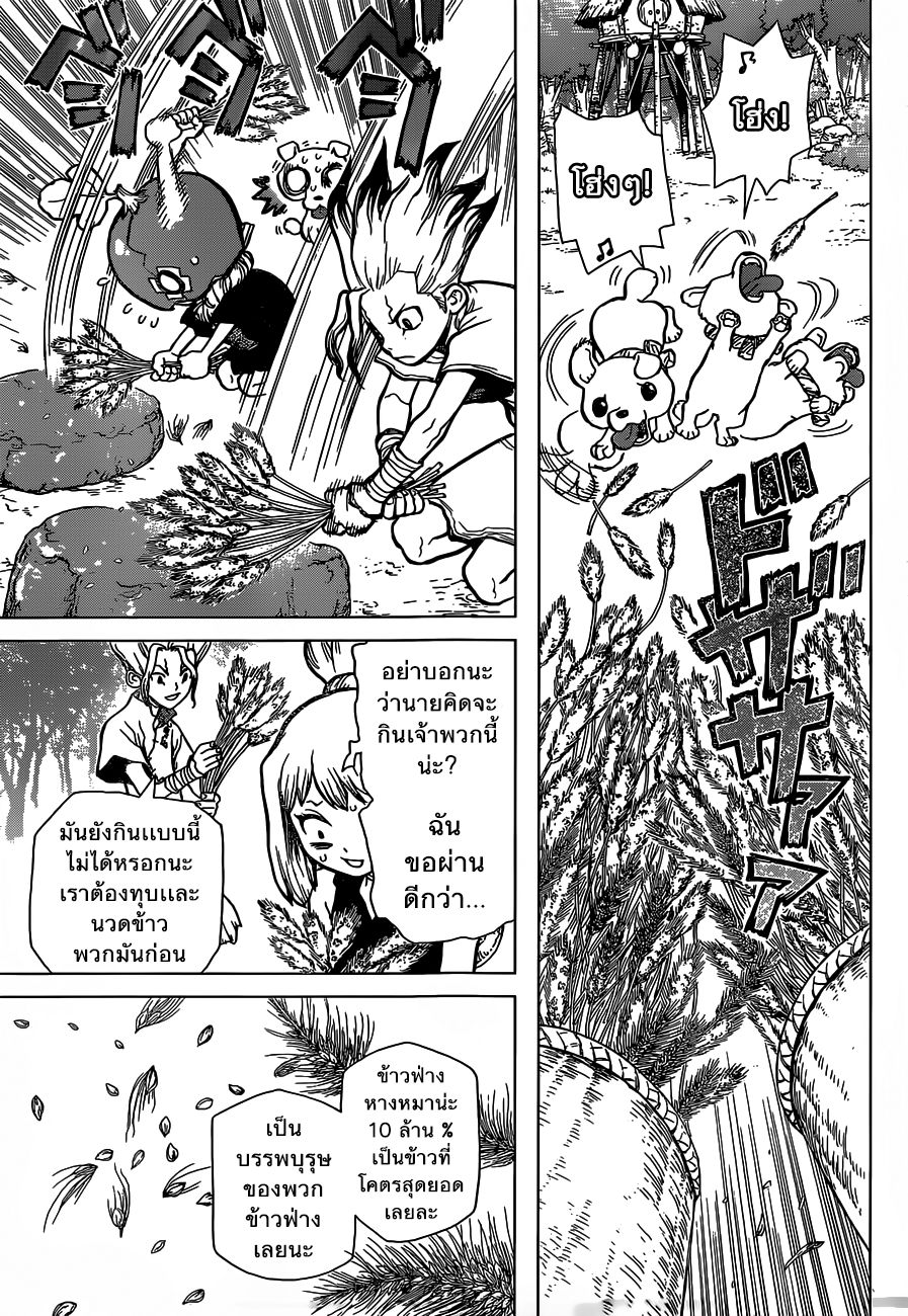 Dr.Stone 22-นี่คืออาหารแห่งยุคหิน!!!