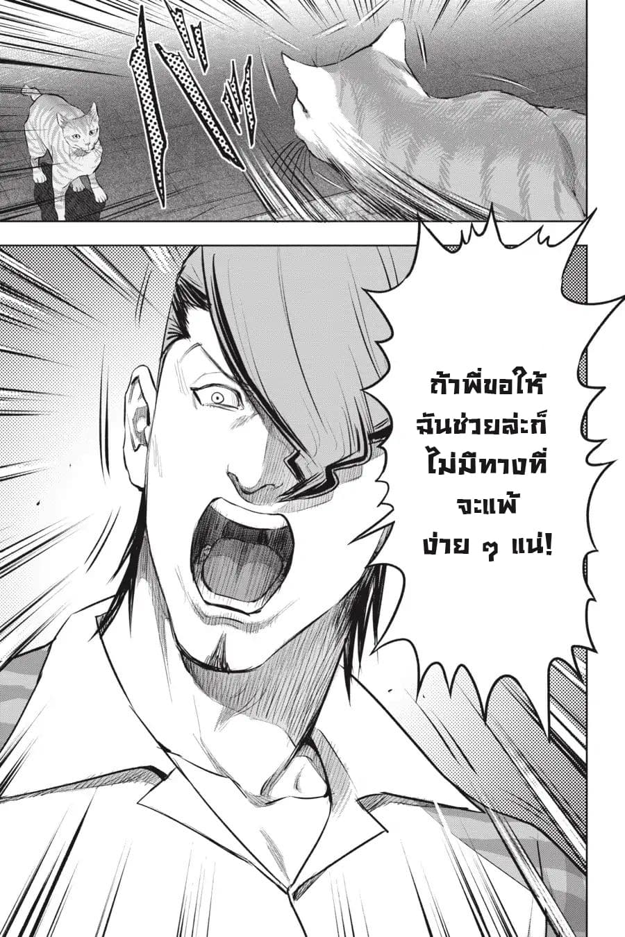 Nyankees 15-แมวสองพี่น้อง