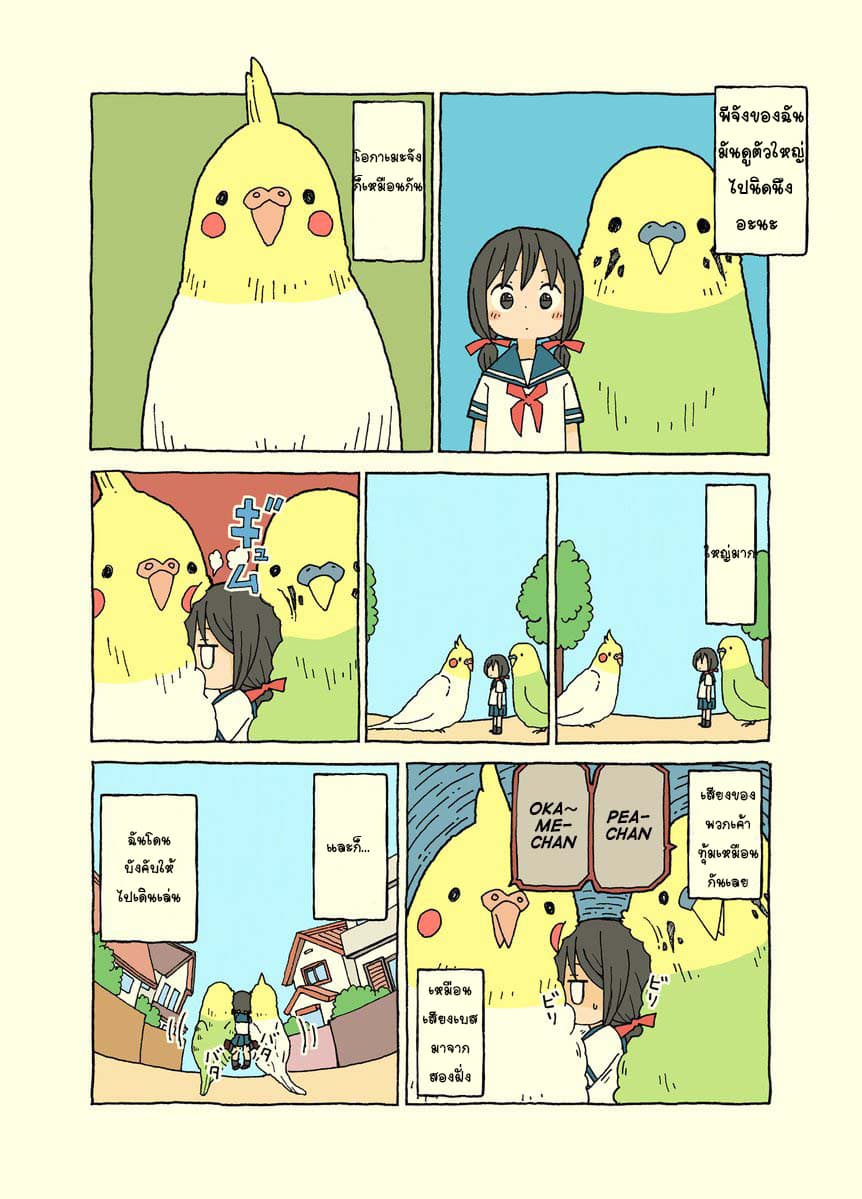 Kemoraifu 3-3