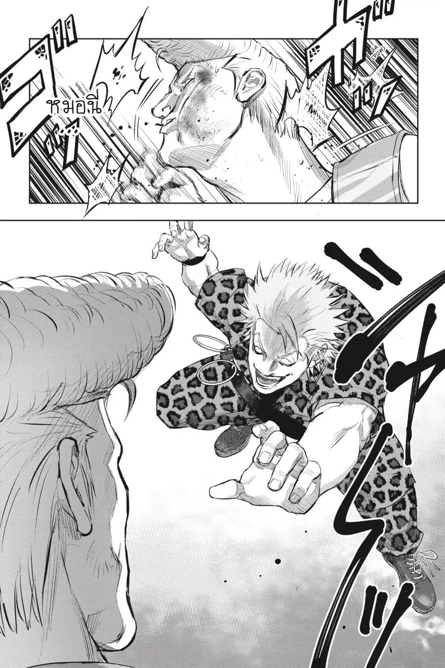 Nyankees 13-อ้วกก้อนขน