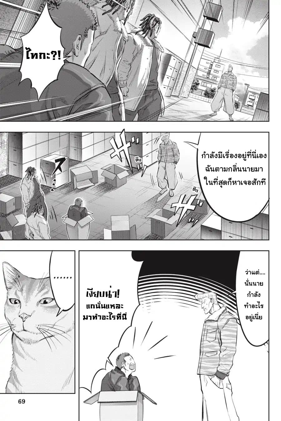 Nyankees 2-บอสแห่งเมืองเนโกะนากิ