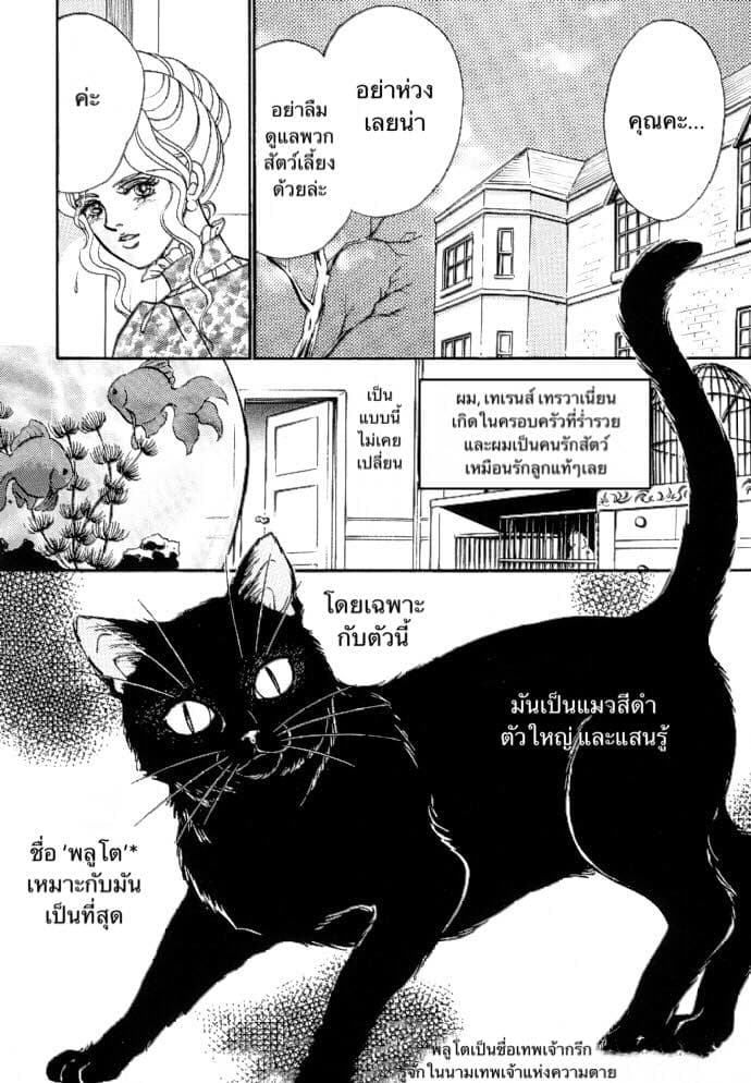 The Black Cat 1-1