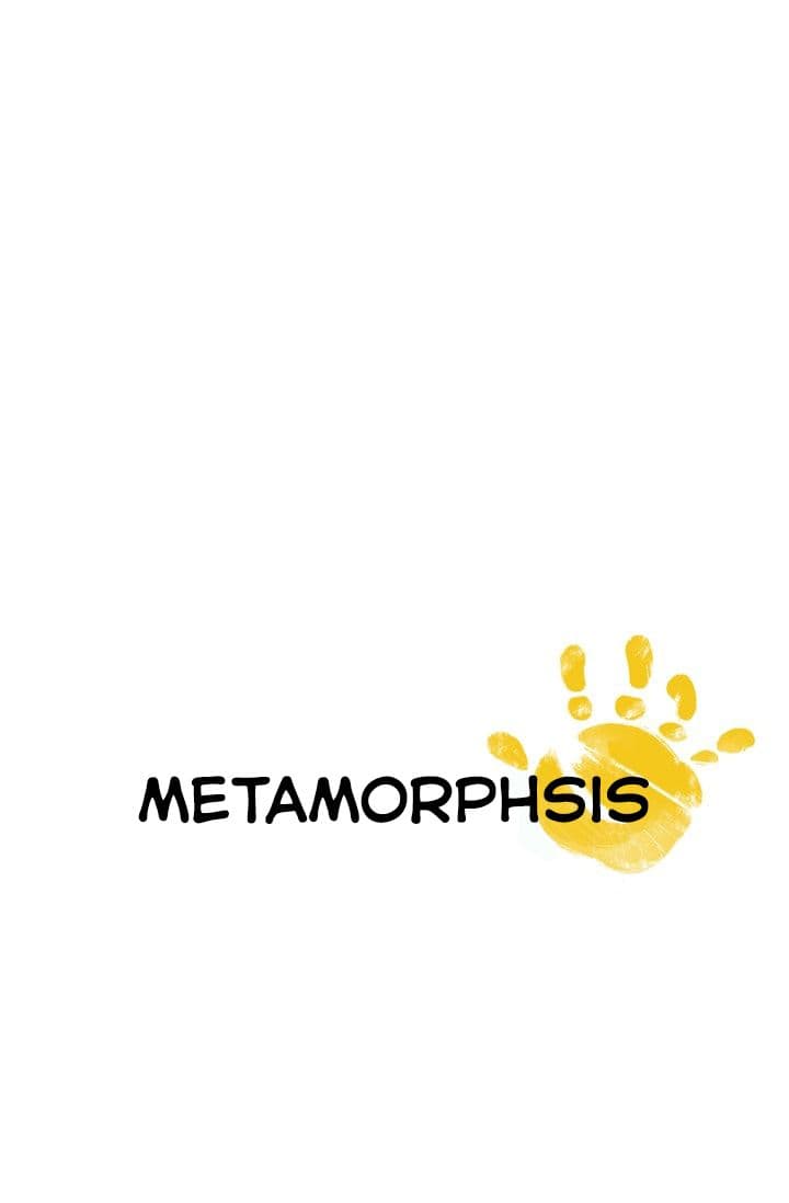 Metamorphosis 1-1