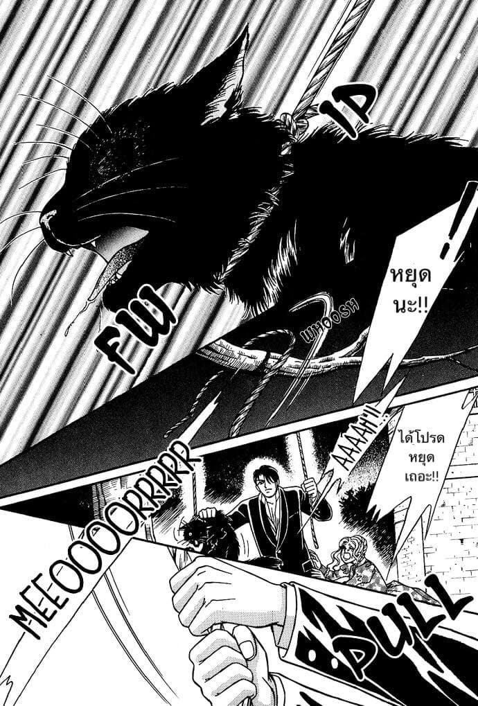 The Black Cat 1-1