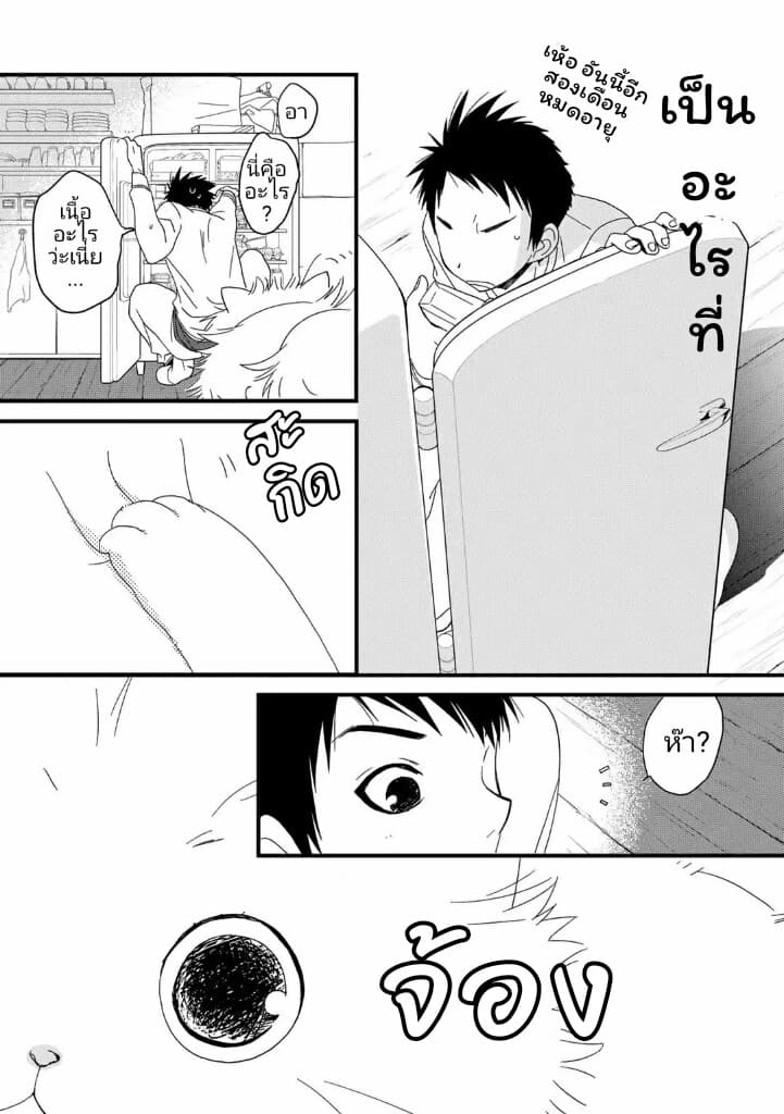 Junkissa Neko 3-3