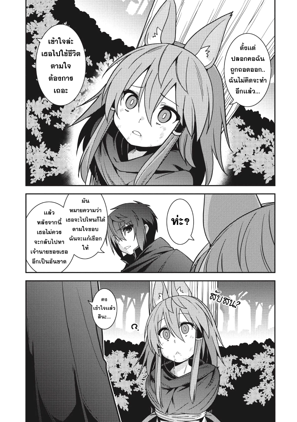 Seirei Gensouki - Konna Sekai de Deaeta Kimi ni (Minazuki Futago) 16-ลาทีฟ่า