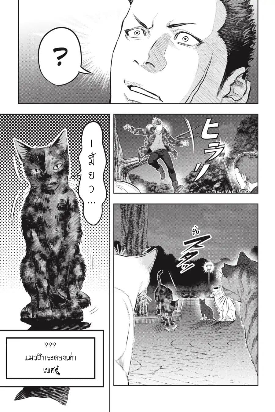 Nyankees 5-คืนที่จันทร์สาดส่อง