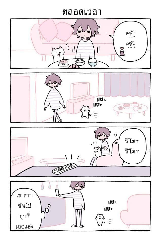 Wonder Cat Kyuu-chan คิวจัง แมวมหัศจรรย์ 4-4