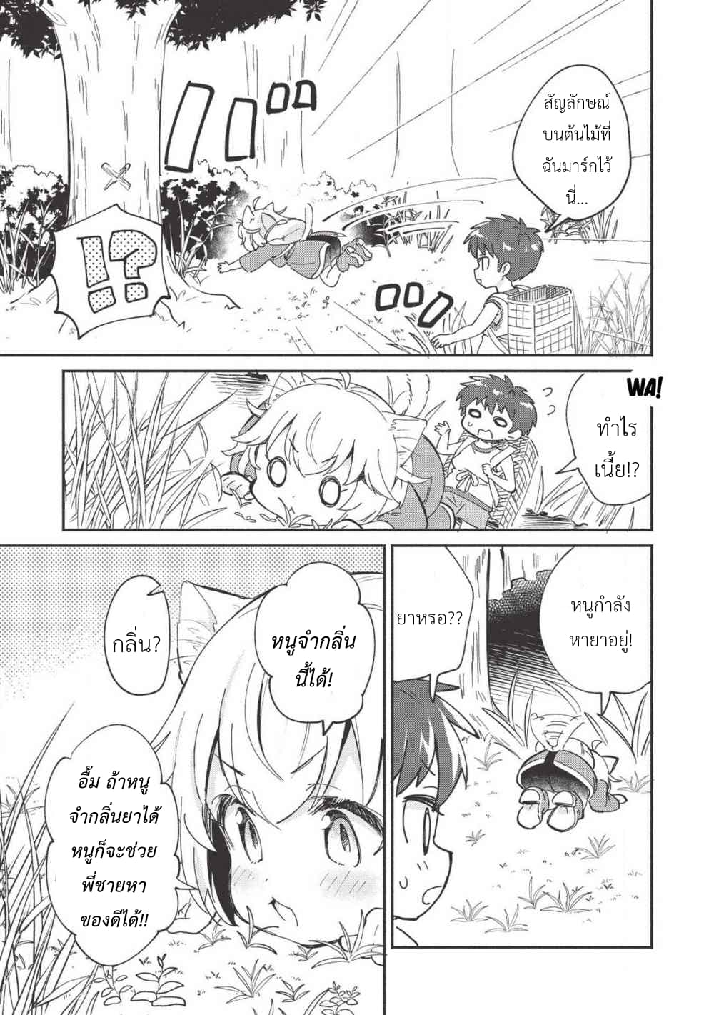 Kojiin Tamer 6-6