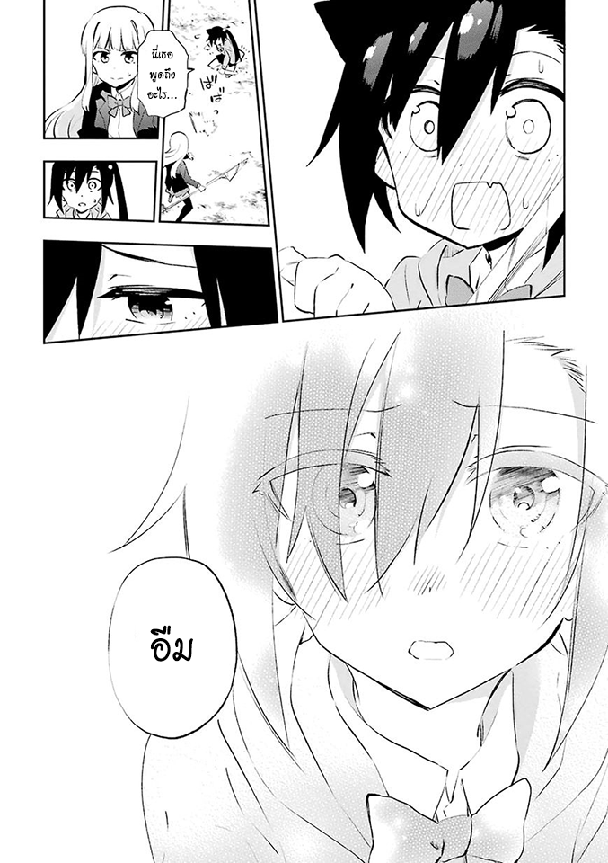 Urami Koi, Koi, Urami Koi 24-การประลองระหว่างวัวและแมว