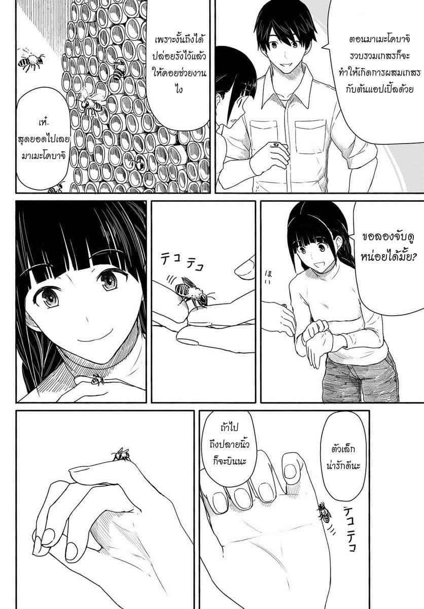 Flying Witch 21-แม่มดกับผึ้งที่ไม่เข้ากัน