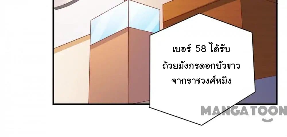 Almight Network 52-52