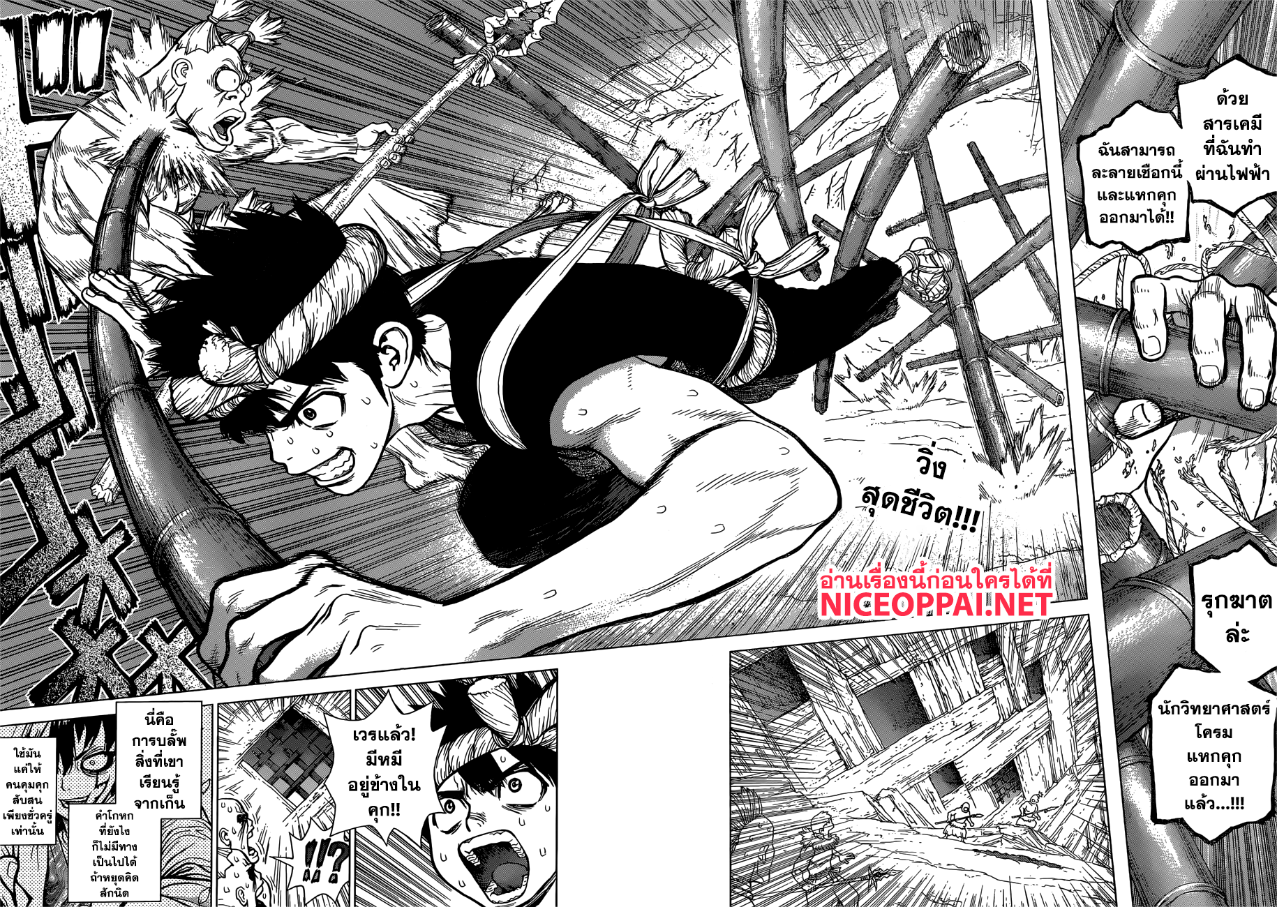 Dr.Stone 72-แต้มประสบการณ์