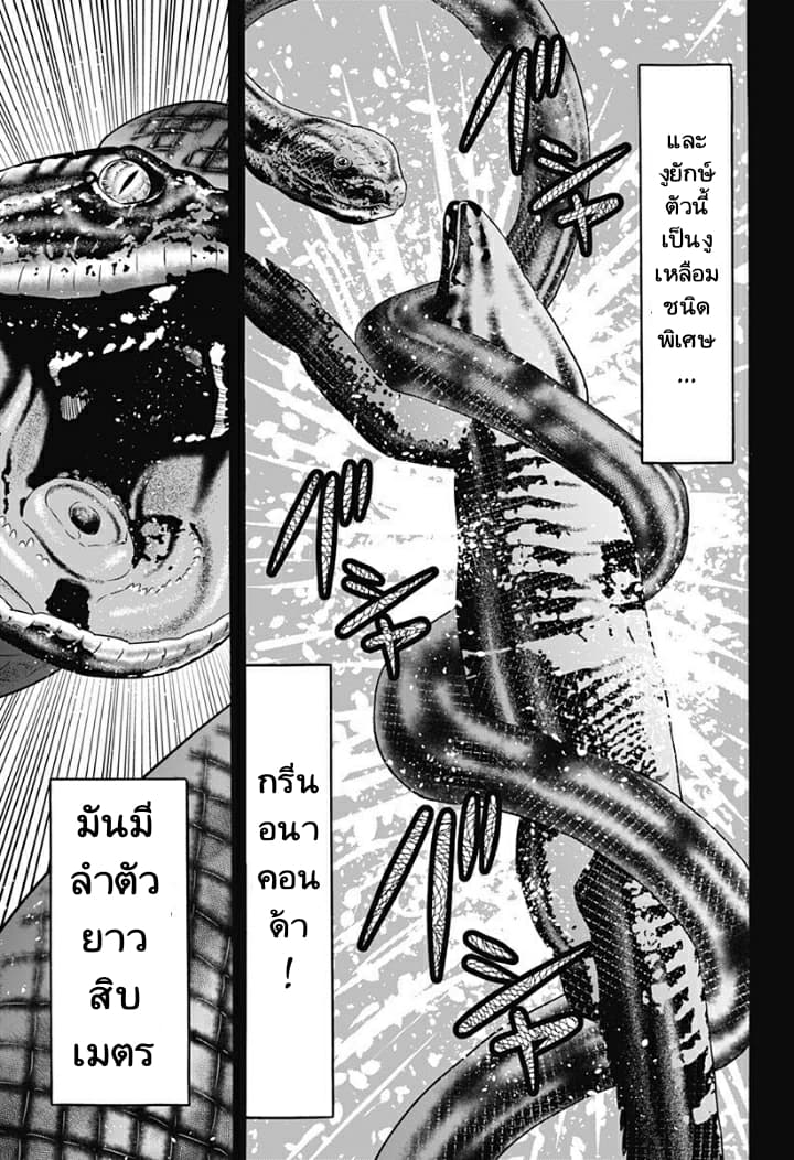 Dorei Yuugi 36-กาชา