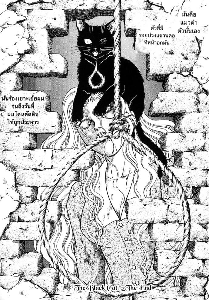 The Black Cat 1-1