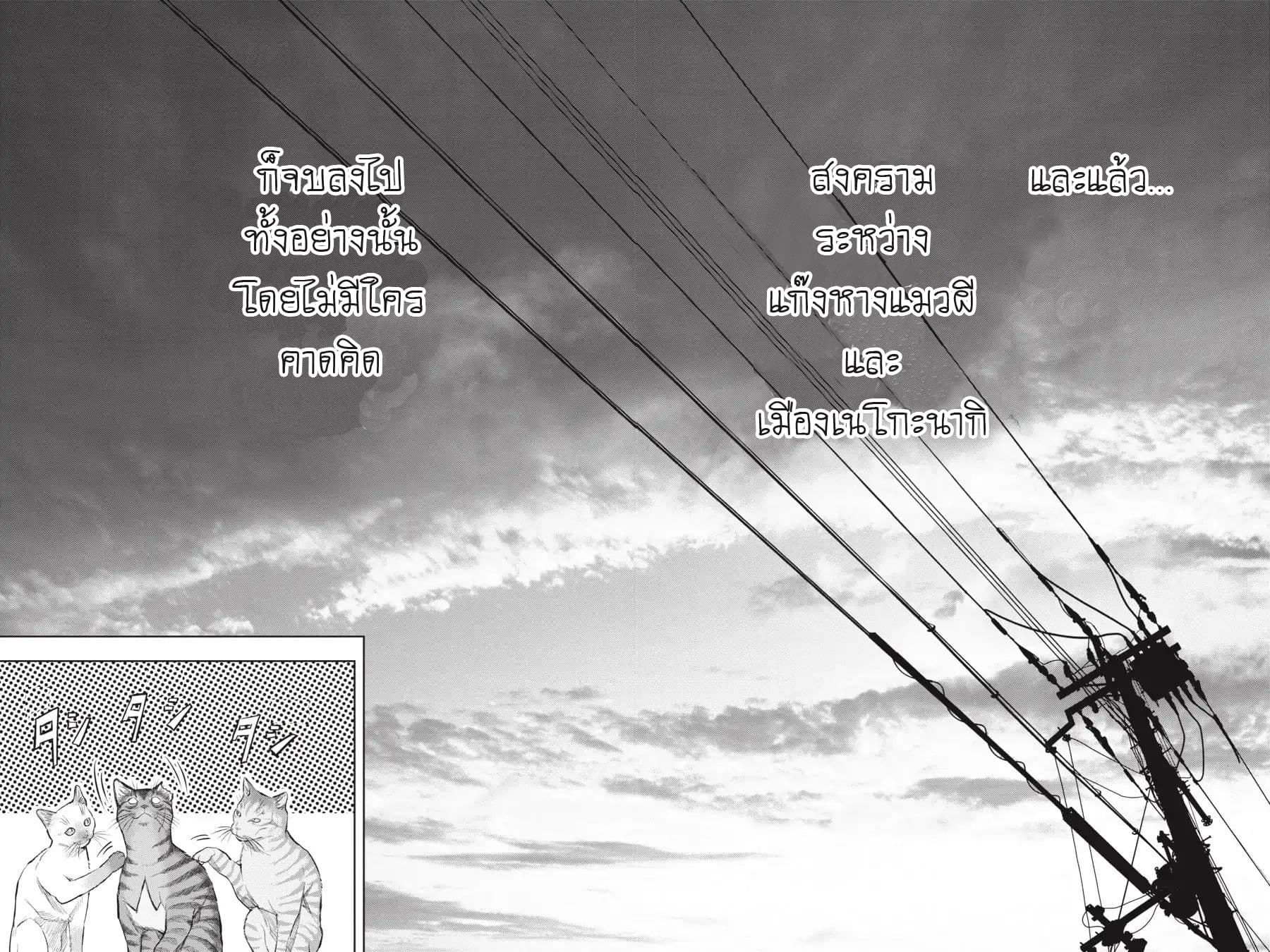 Nyankees 9-คอนเนคชั่น