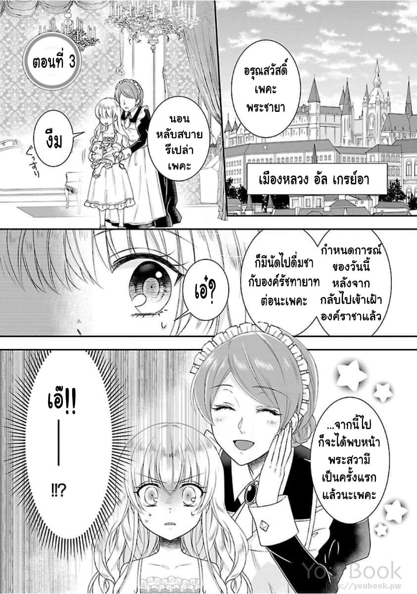 Fake Cinderella 3-3