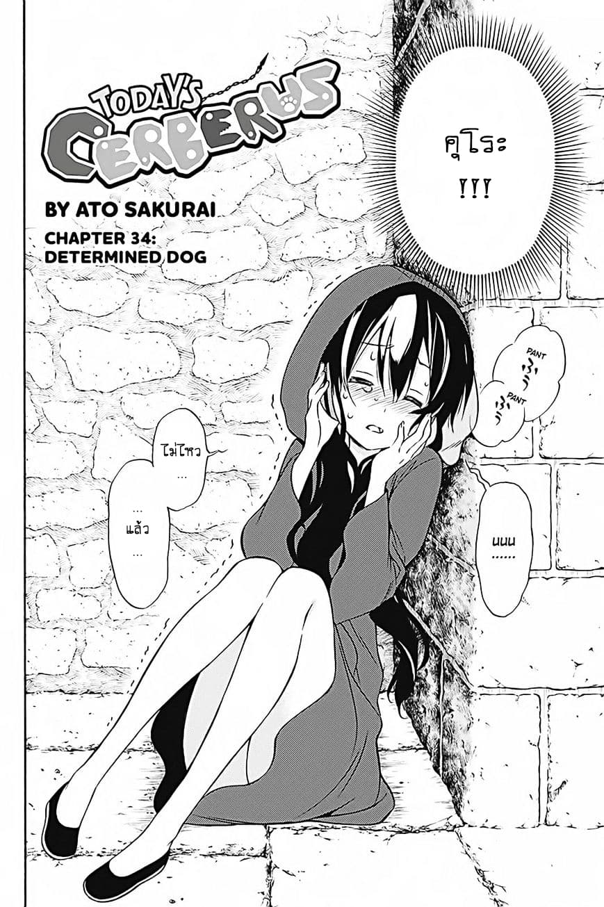 Kyou no Cerberus 34-สุนัขที่มุ่งมั่น