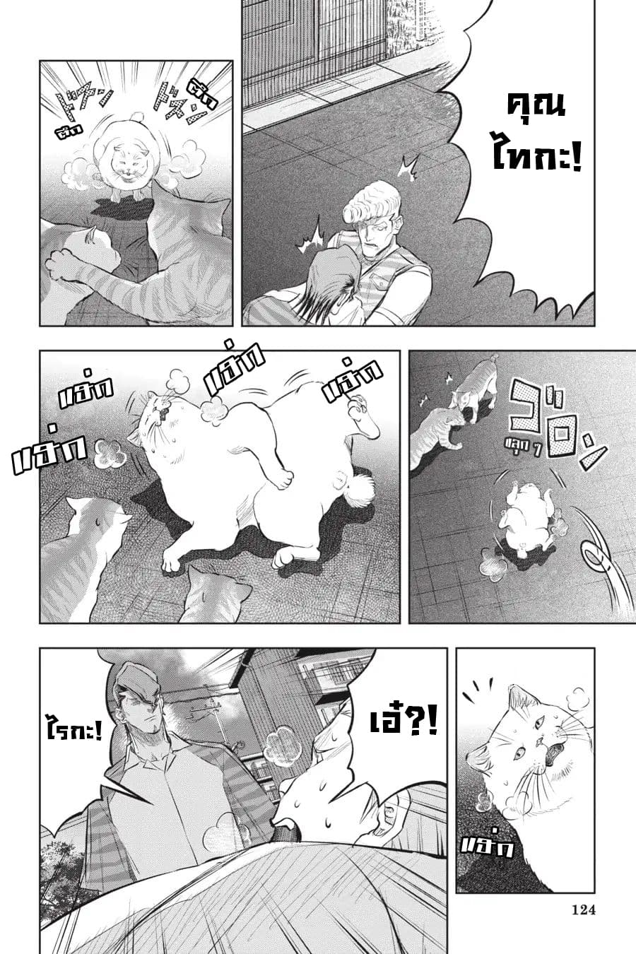 Nyankees 15-แมวสองพี่น้อง