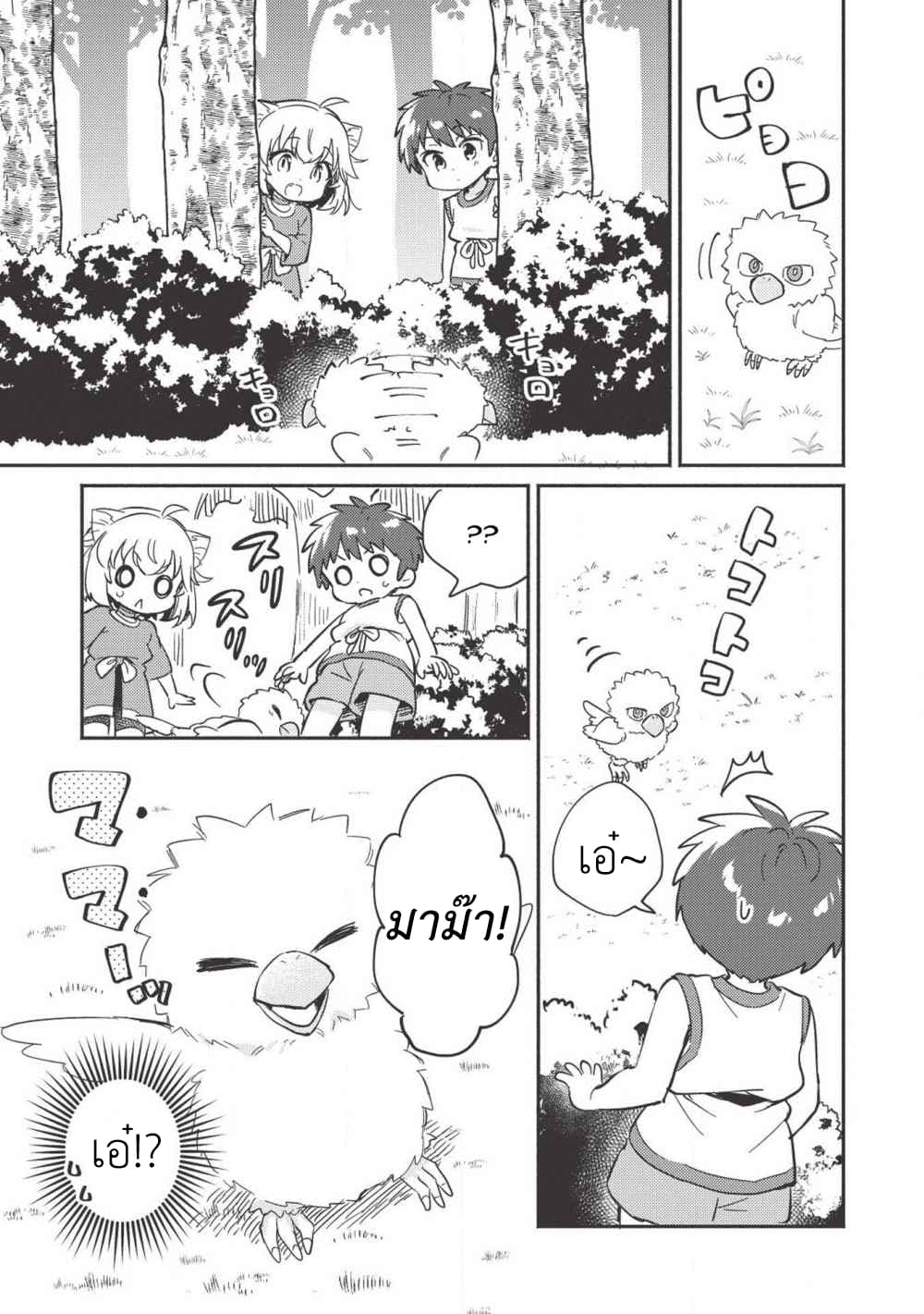 Kojiin Tamer 6-6