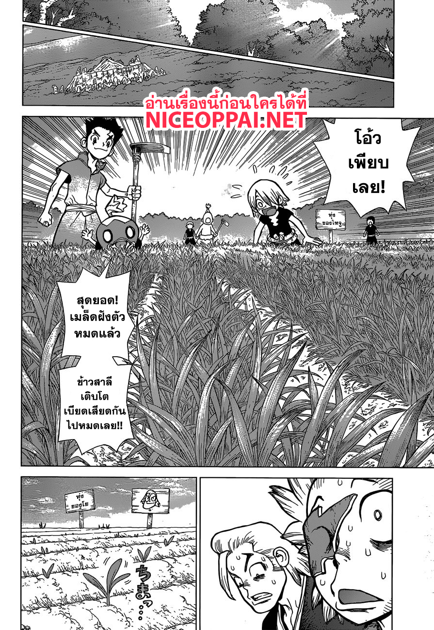 Dr.Stone 91-ถ้าไร้ซึ่งขนมปัง งั้นก็ทำมันจากข้าวสาลี