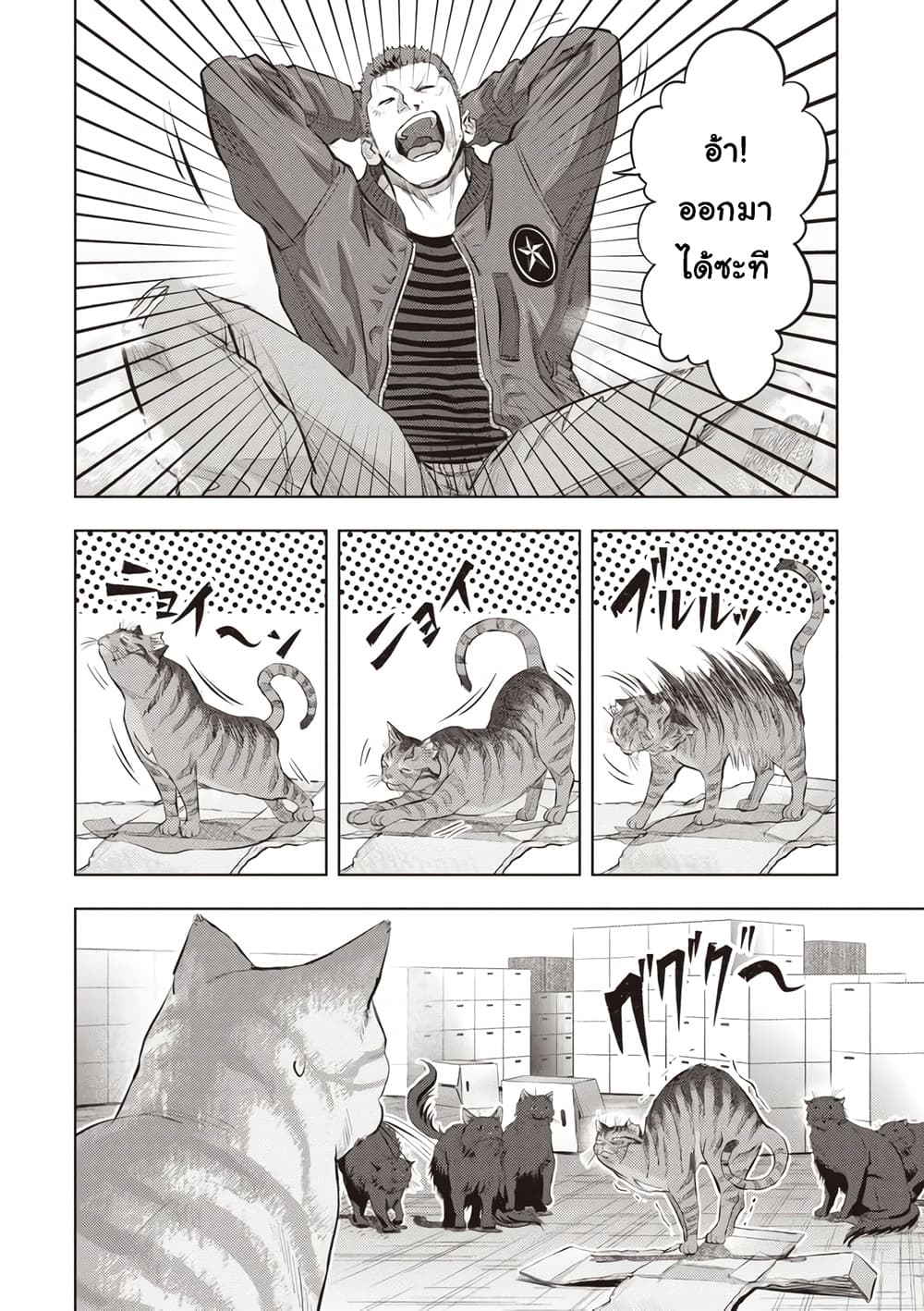 Nyankees 3-แก๊งหางแมวผี