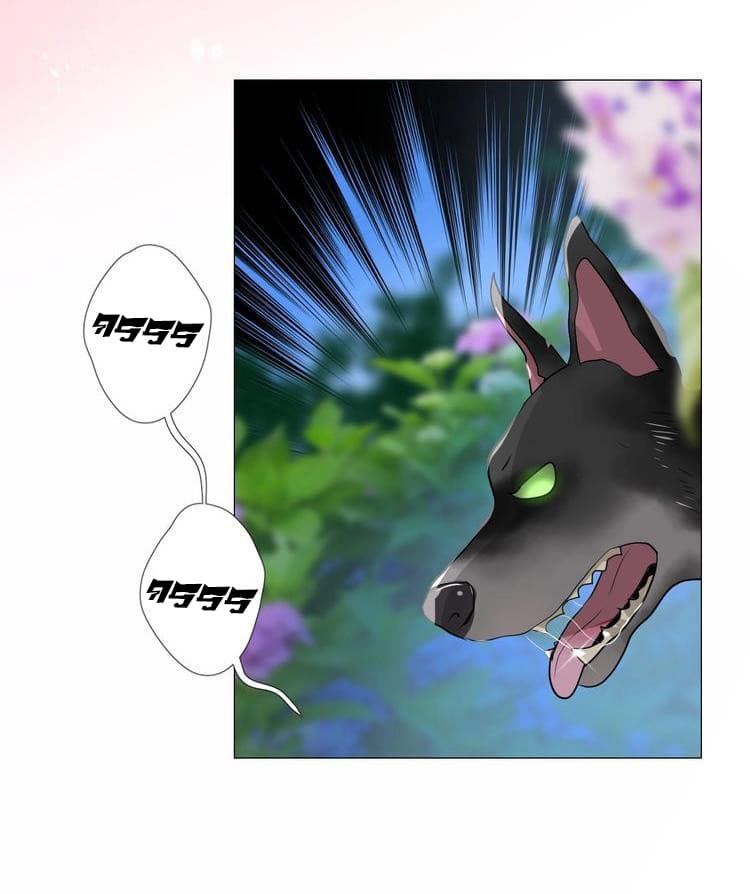 Unbending Flower 11-11