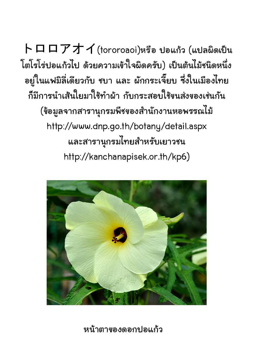 Honzuki no Gekokujou 13-หนทางสู่กระดาษญี่ปุ่น