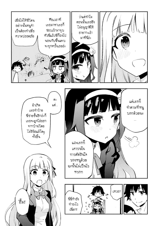 Urami Koi, Koi, Urami Koi 24-การประลองระหว่างวัวและแมว