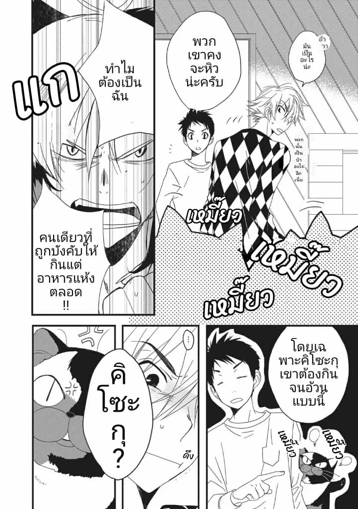 Junkissa Neko 3-3