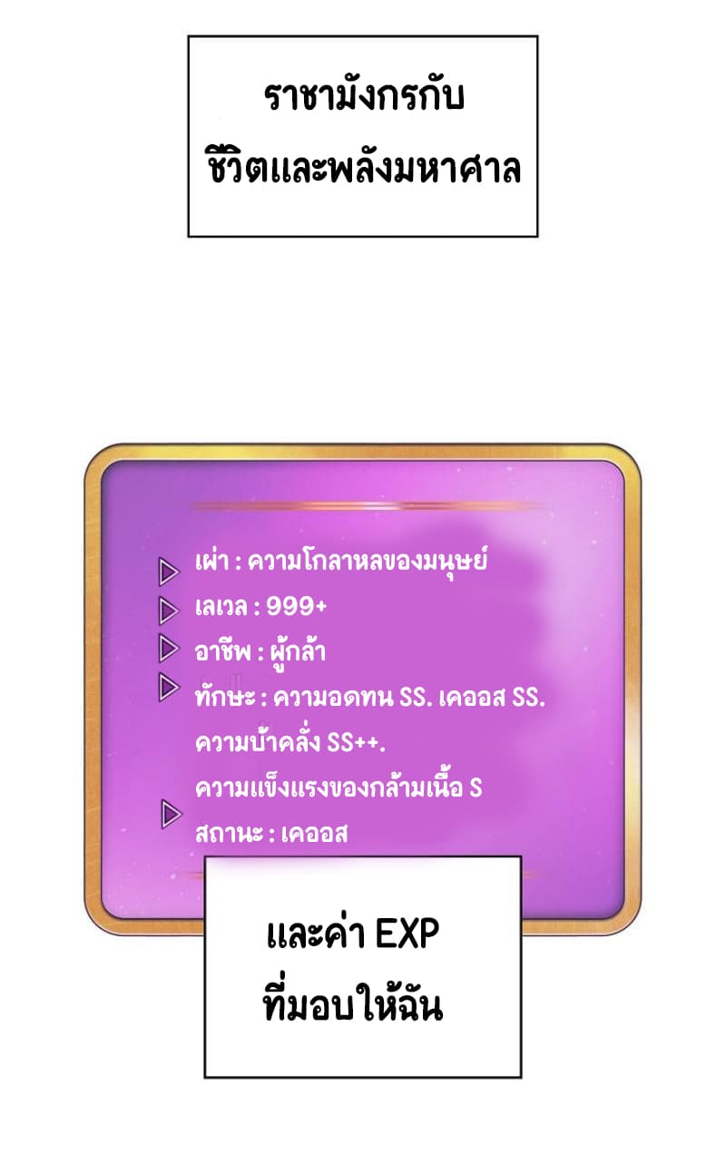 FFF-Class Trashero 25-25