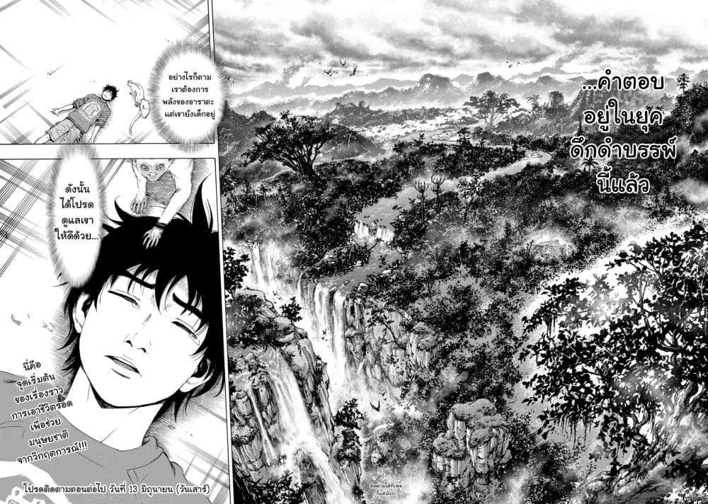 Arata Primal 1-1