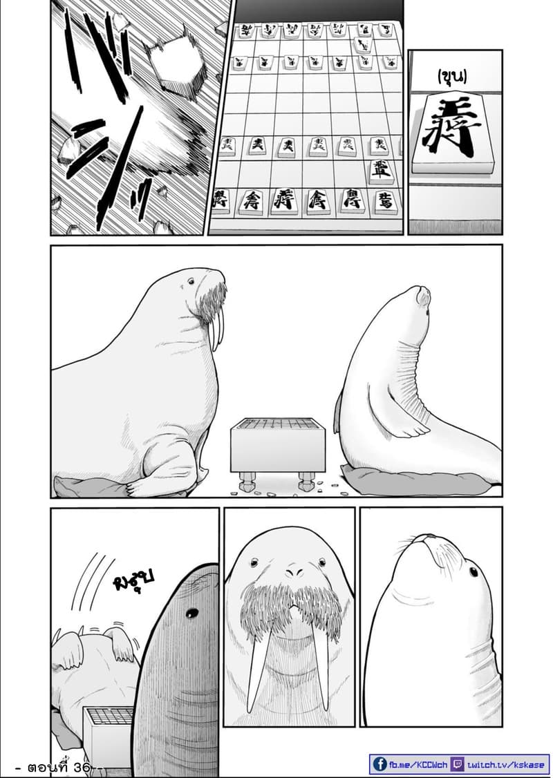 Boku no Malay-Guma 5-5