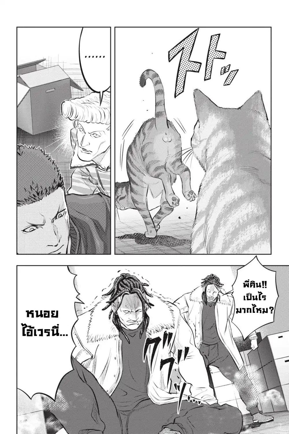 Nyankees 4-หมัดเหมียวคู่