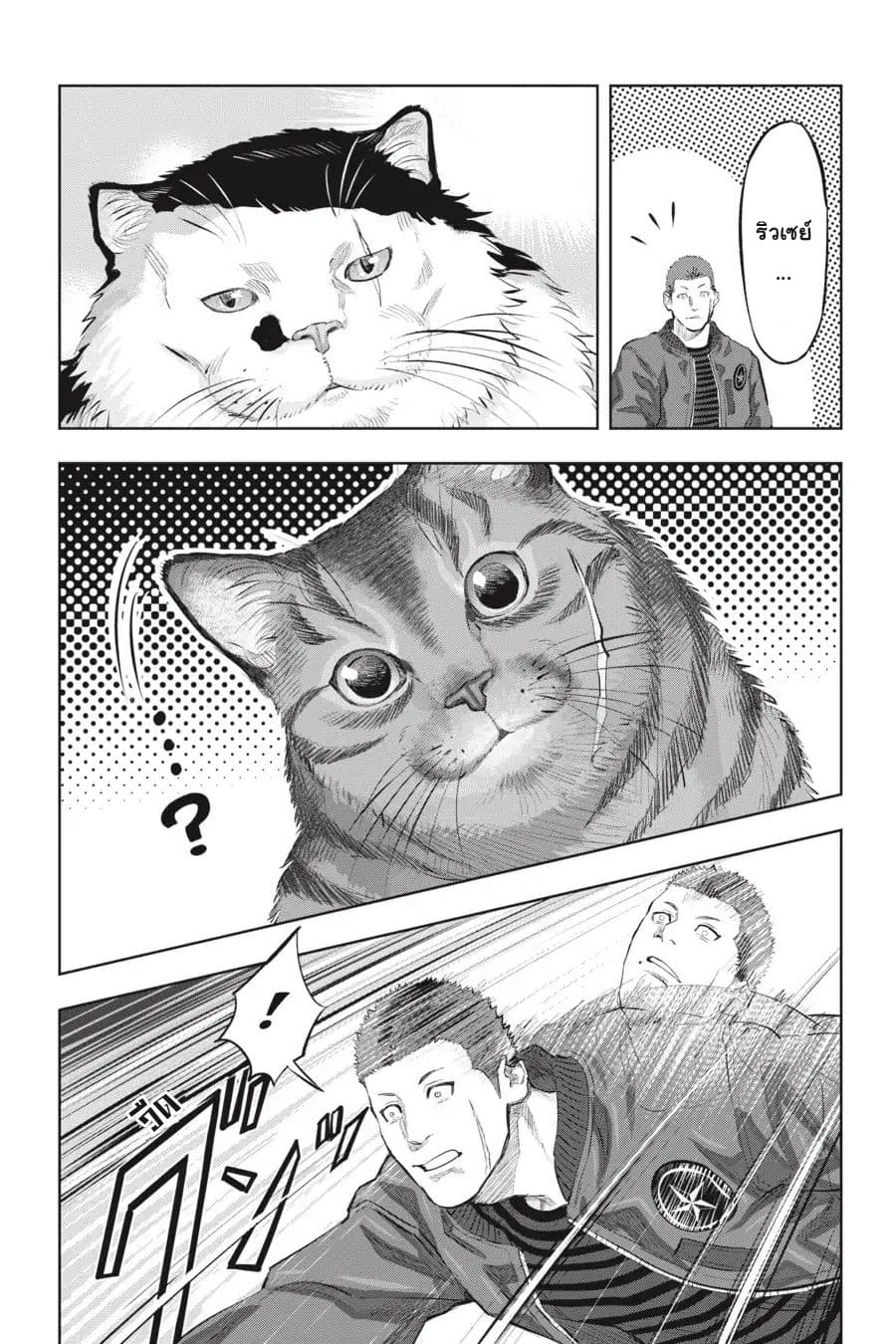 Nyankees 9-คอนเนคชั่น