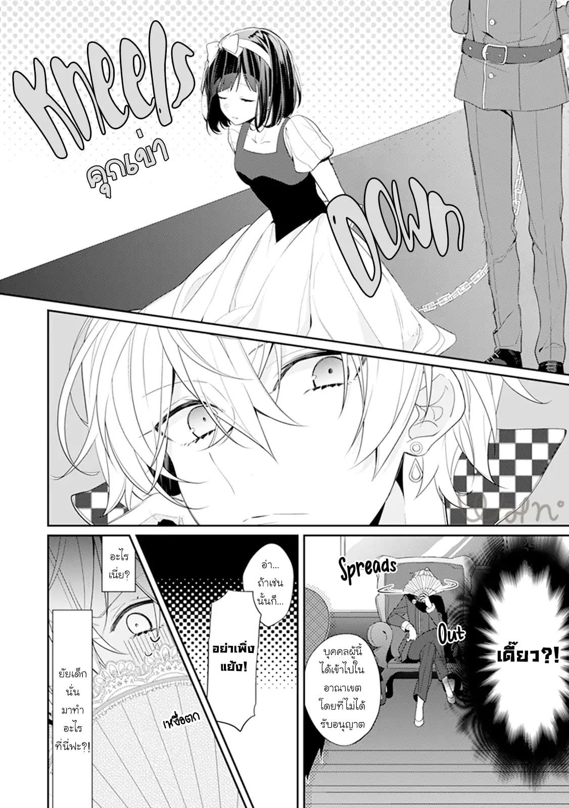 Drag Queen & White Queen 5-5