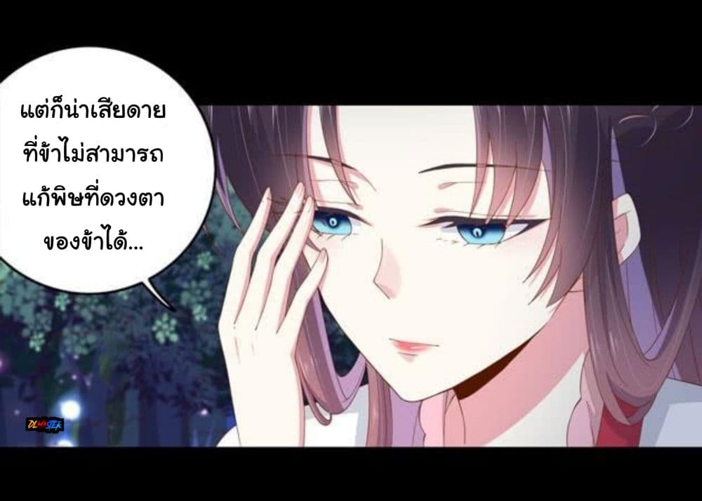 Pupillary Master 3-3