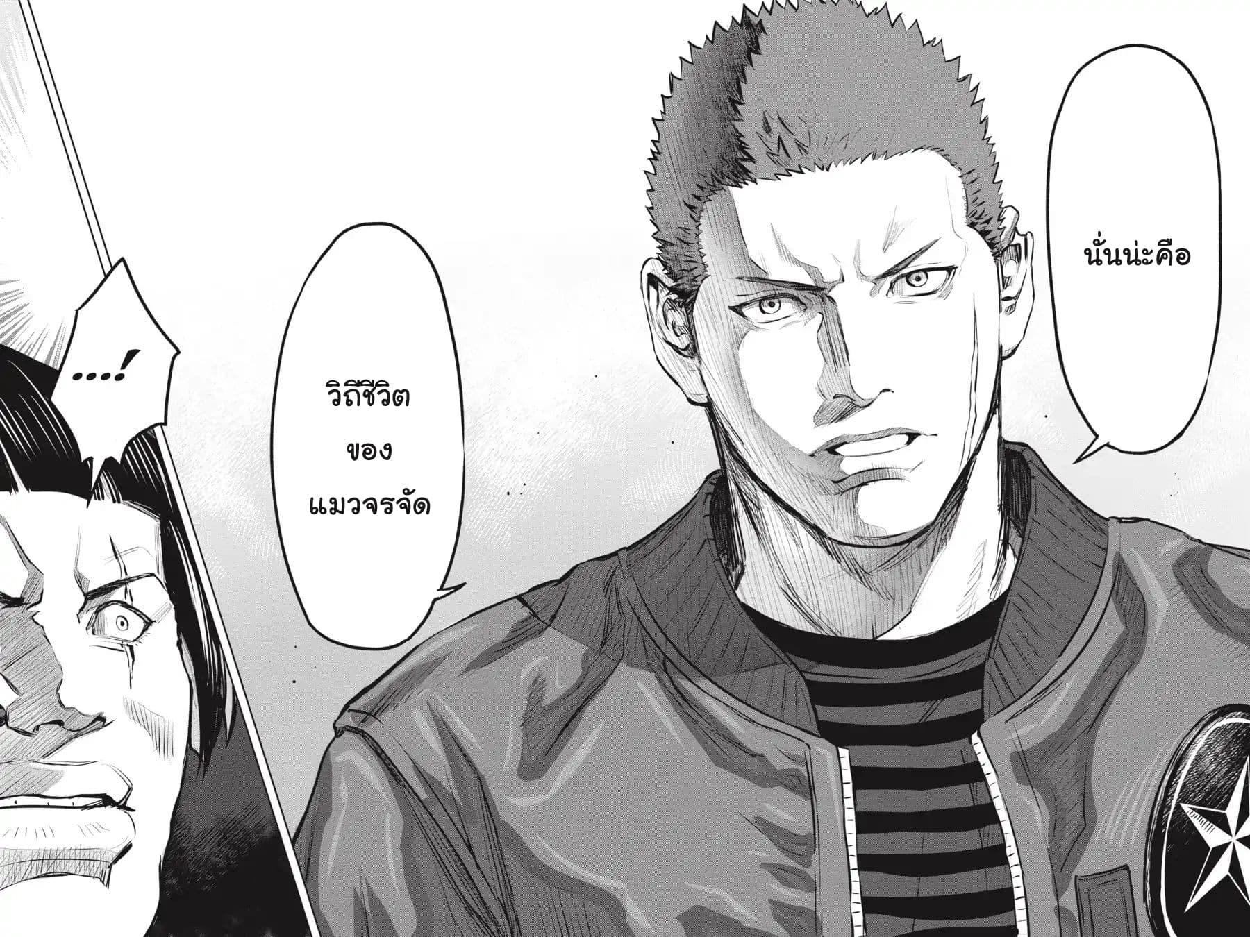 Nyankees 8-วิถีชีวิตของแมว