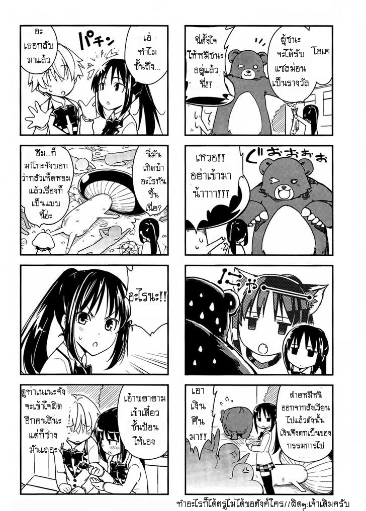 Yamanko! 16.5-16.5