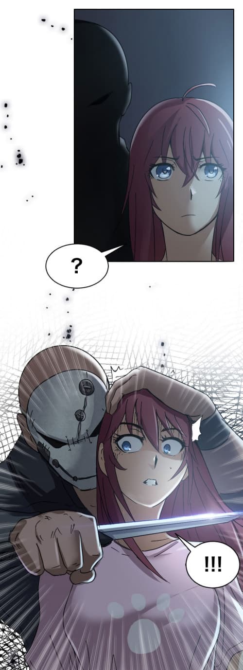 Vanguard 4-4