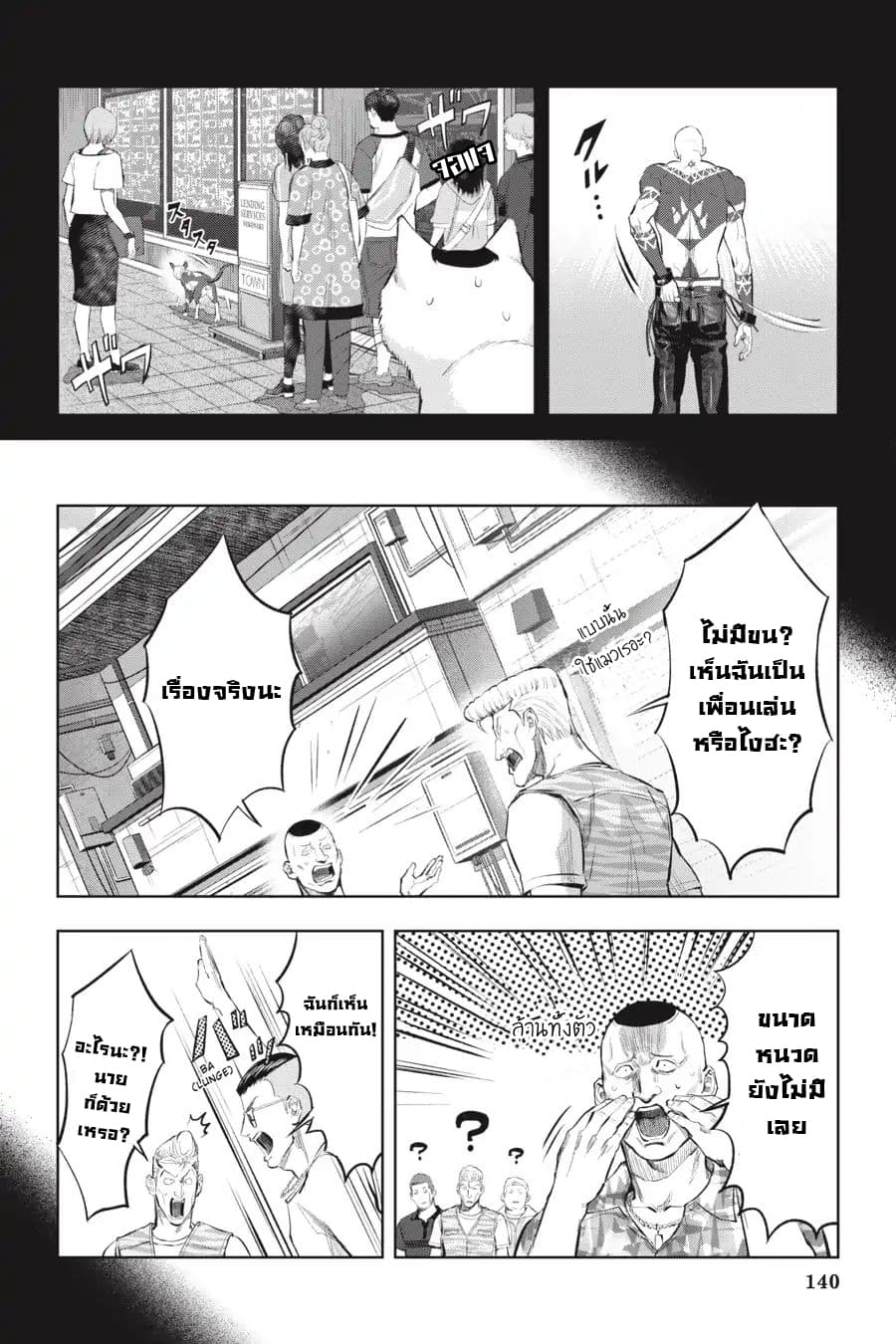 Nyankees 11-แมวน่าสงสัย