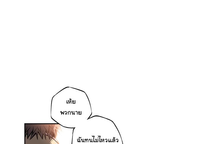 SuperNova 13-13