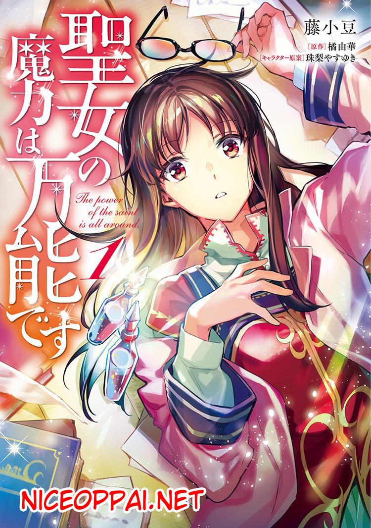 Seijo no Maryoku wa Bannou desu 10-10