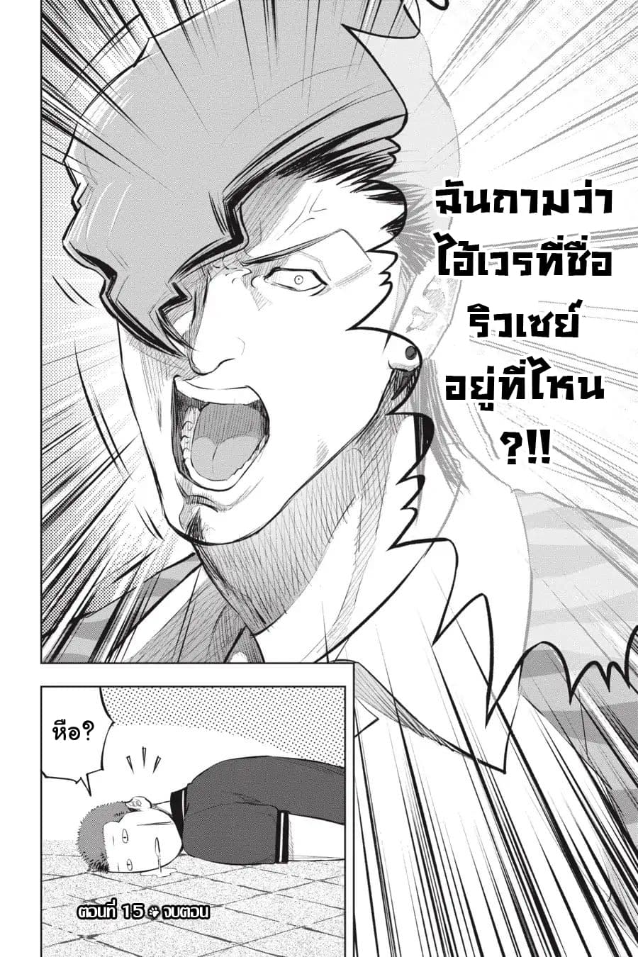 Nyankees 15-แมวสองพี่น้อง
