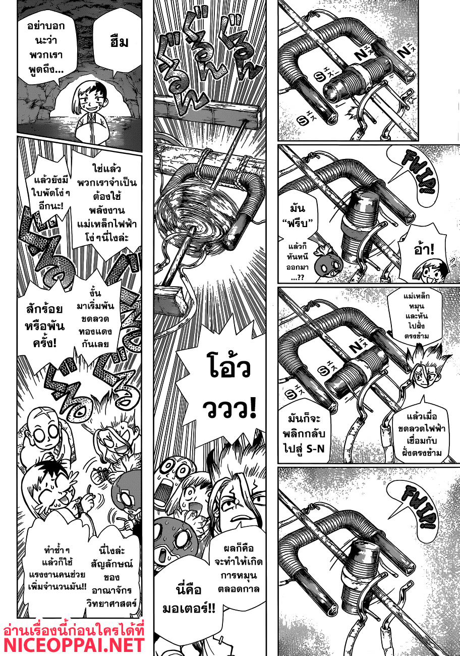 Dr.Stone 112-3-D แชมเปี้ยน