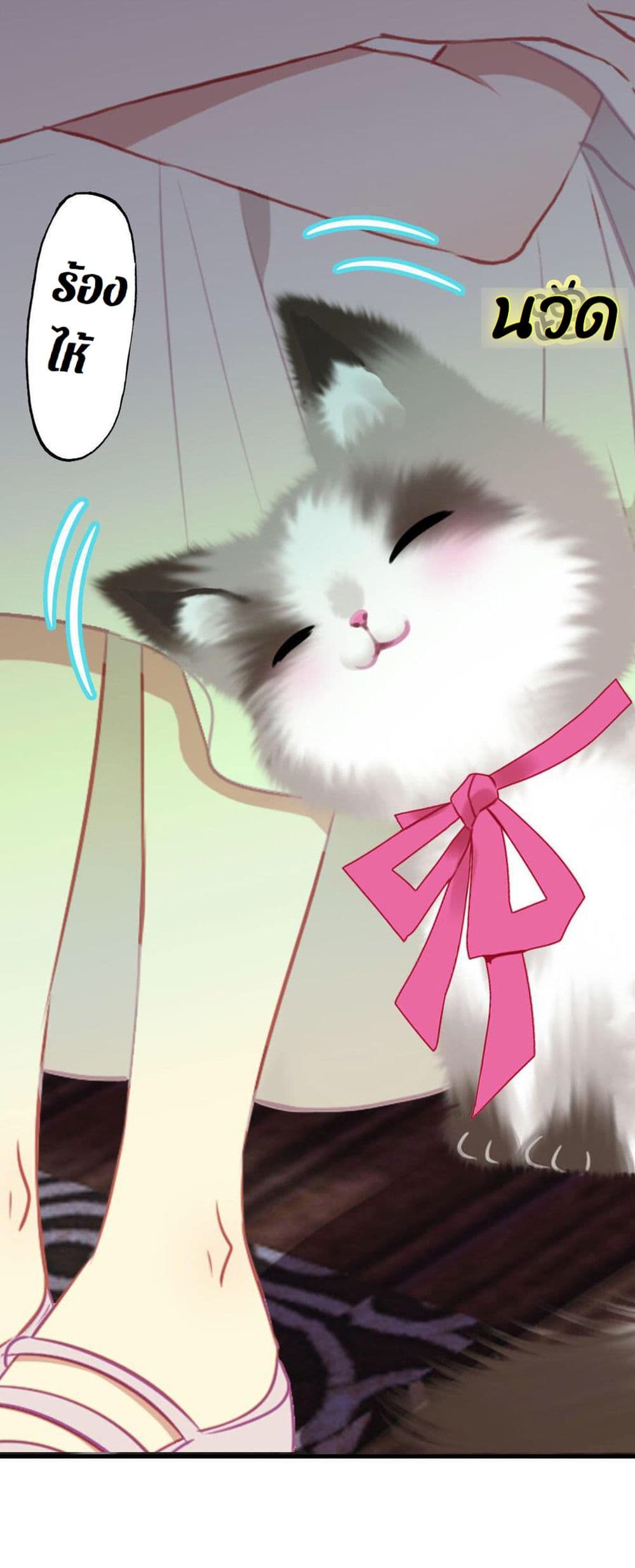 Check-in with My Cat 1-1
