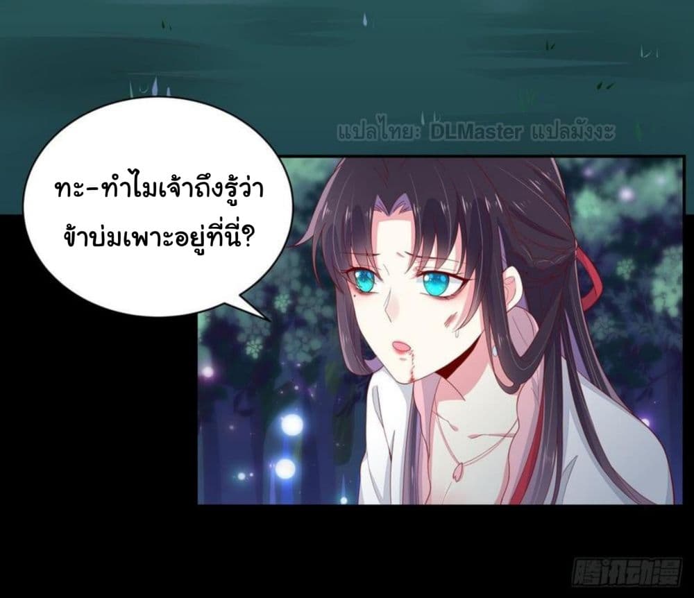 Pupillary Master 6-6