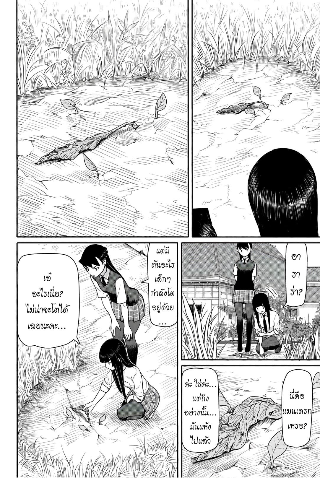 Flying Witch 40-40