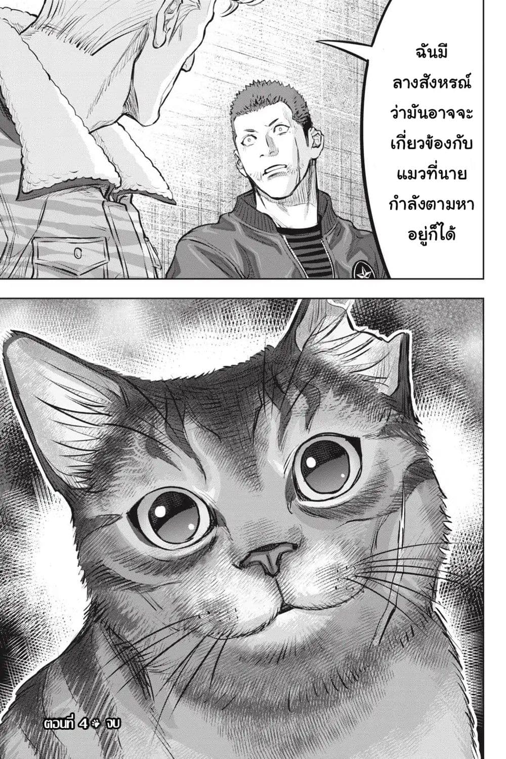 Nyankees 4-หมัดเหมียวคู่